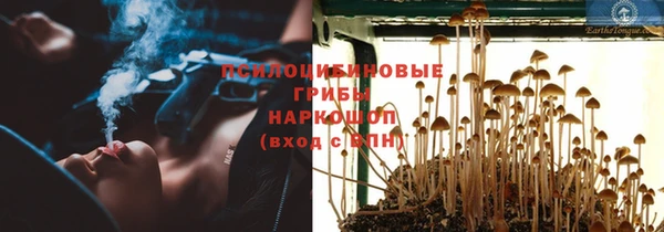 молекула духа Алексеевка