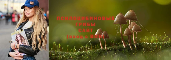 молекула духа Алексеевка
