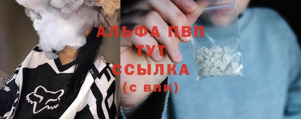 стаф Алексин