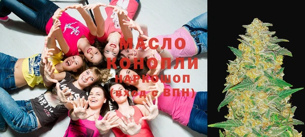 молекула духа Алексеевка