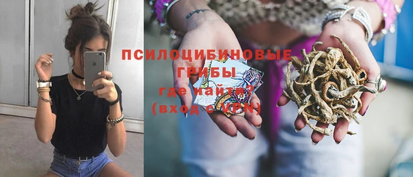 стаф Алексин