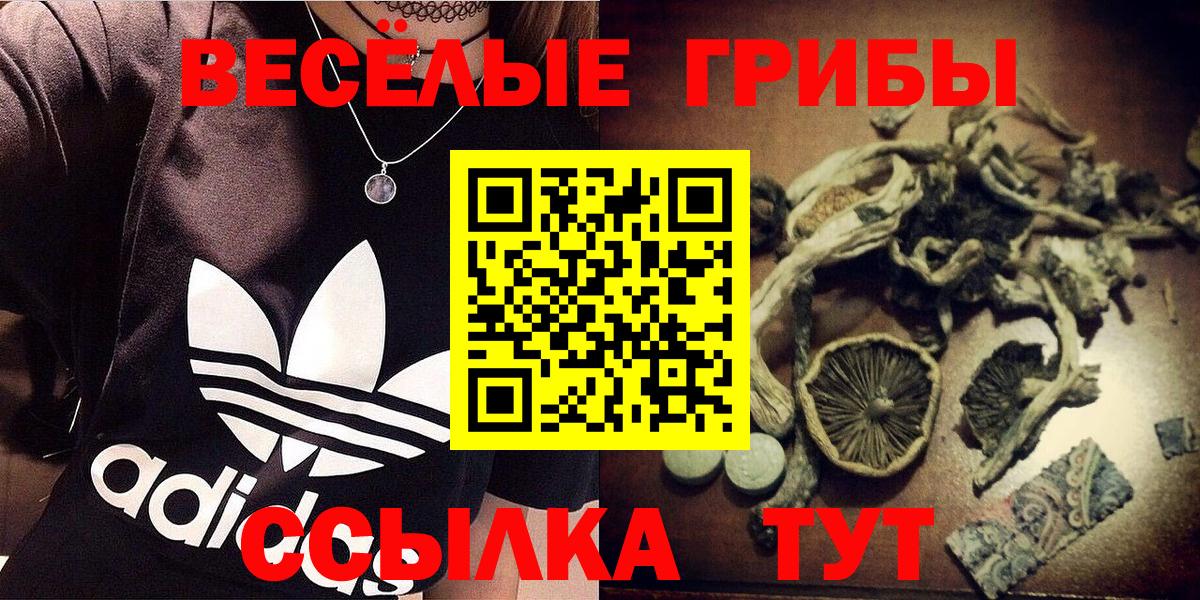 Псилоцибиновые грибы ЛСД  Вход с VPN  Петрозаводск 