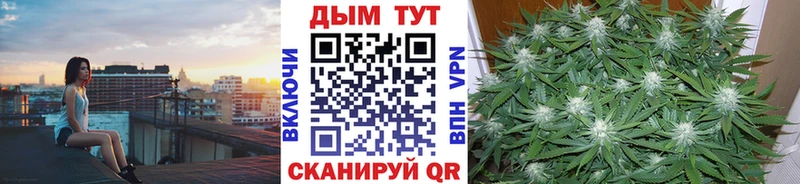 гидра зеркало  цена наркотик  Петрозаводск  Бошки марихуана план 